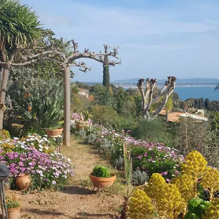 F3 Rdc Vue 180 Face A La Pointe De Giens Carqueiranne